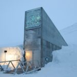 Il Caveau di Svalbard: La Banca Mondiale dei Semi