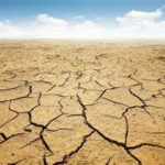 La Desertificazione: Una Sfida Globale Urgente