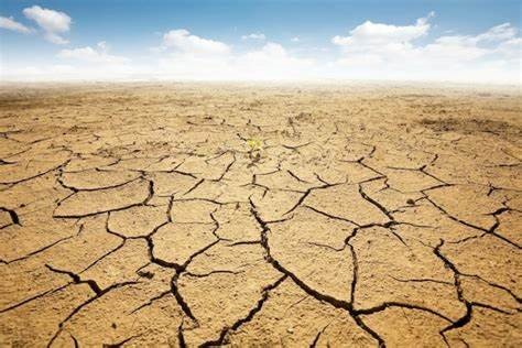 La Desertificazione: Una Sfida Globale Urgente