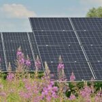 Titolo: L’Ascesa dell’Energia Solare: Un Futuro più Luminoso