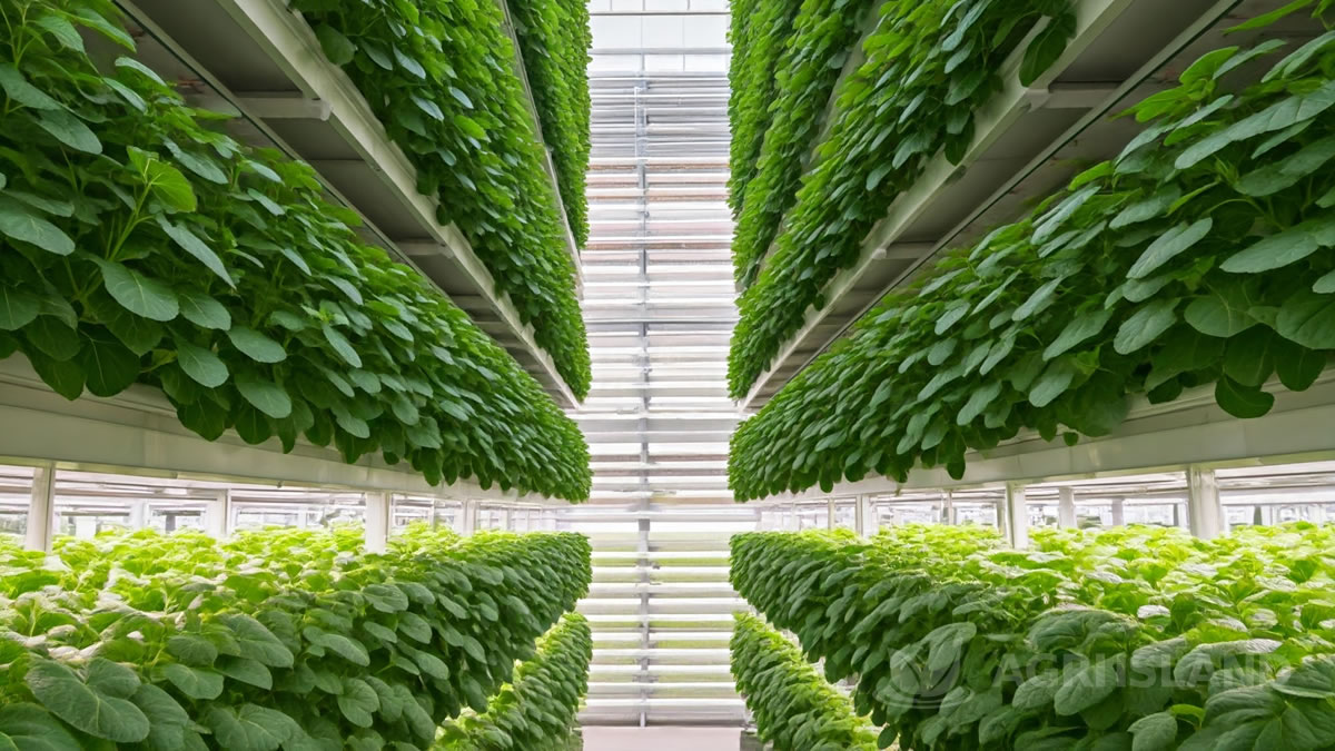 Titolo: L’Ascesa dell’Agricoltura Verticale: Una Soluzione Sostenibile per il Futuro