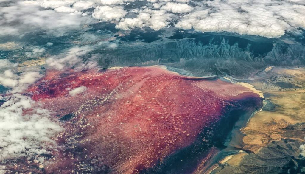 Titolo: Il Mistero del Lago Natron: Dove la Natura Trasforma in Pietra