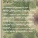 Titolo: Il Misterioso Linguaggio delle Piante: Comunicazione Silenziosa nel Regno Vegetale