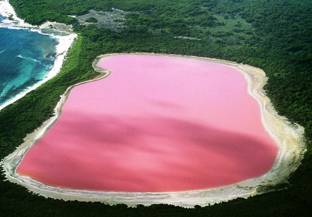 Titolo: Il misterioso caso del lago rosa di Hillier